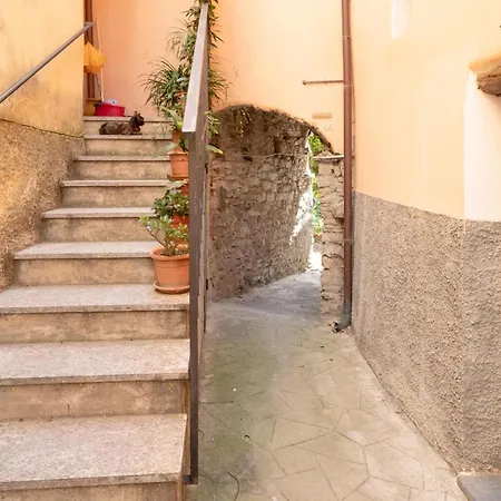 In Borgo Doneglia With Kitchenette بيت للعطل